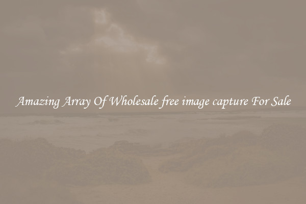 Amazing Array Of Wholesale free image capture For Sale