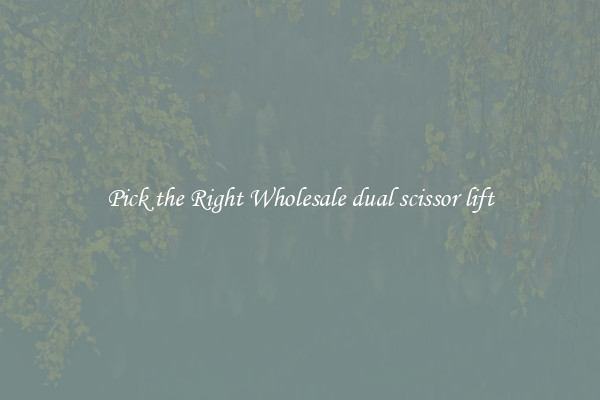 Pick the Right Wholesale dual scissor lift