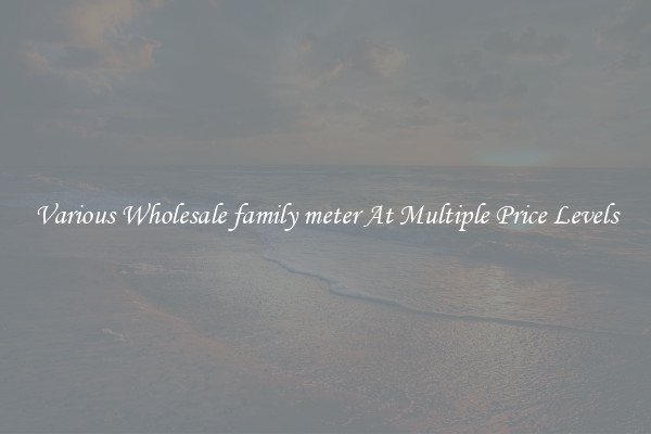 Various Wholesale family meter At Multiple Price Levels