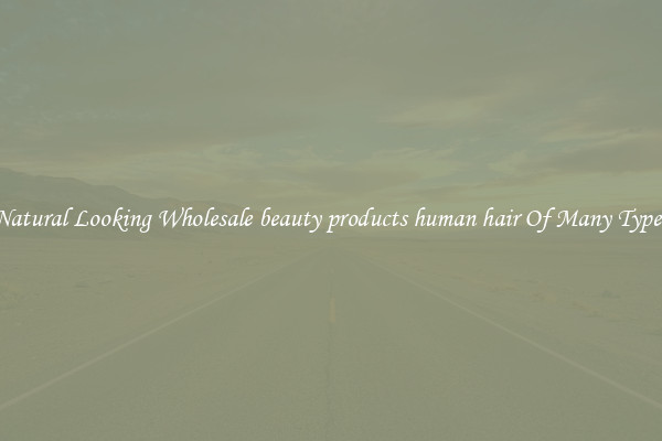 Natural Looking Wholesale beauty products human hair Of Many Types