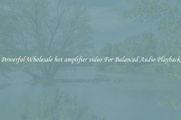 Powerful Wholesale hot amplifier video For Balanced Audio Playback