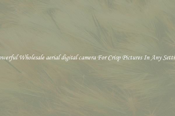 Powerful Wholesale aerial digital camera For Crisp Pictures In Any Setting