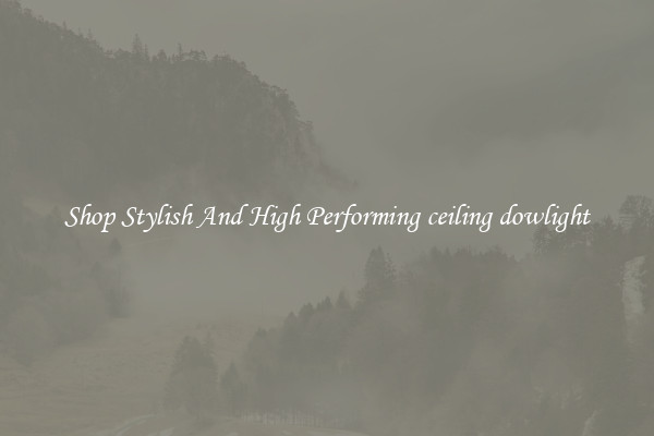 Shop Stylish And High Performing ceiling dowlight