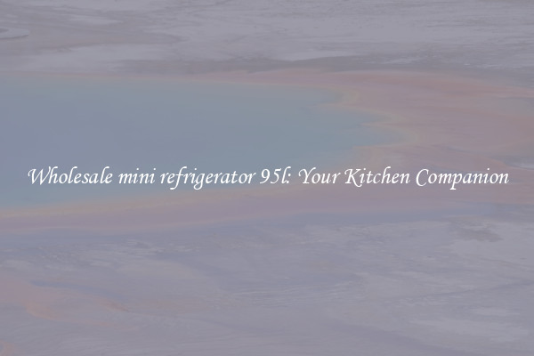 Wholesale mini refrigerator 95l: Your Kitchen Companion
