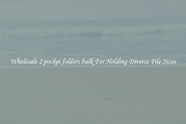 Wholesale 2 pocket folders bulk For Holding Diverse File Sizes
