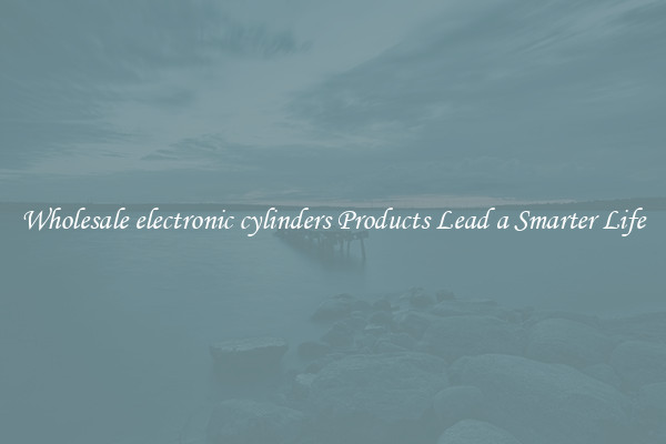 Wholesale electronic cylinders Products Lead a Smarter Life