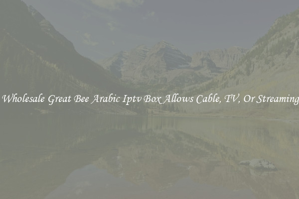 Wholesale Great Bee Arabic Iptv Box Allows Cable, TV, Or Streaming