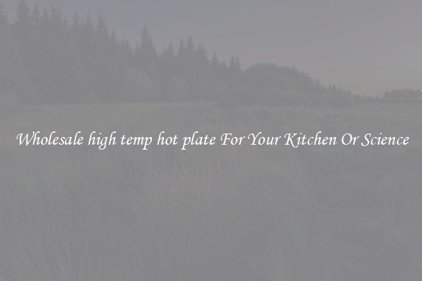 Wholesale high temp hot plate For Your Kitchen Or Science