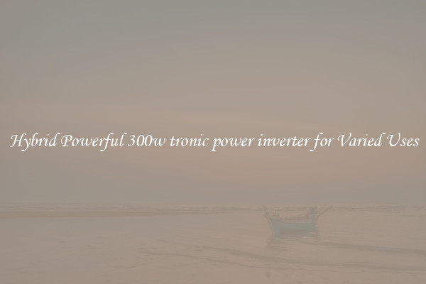 Hybrid Powerful 300w tronic power inverter for Varied Uses