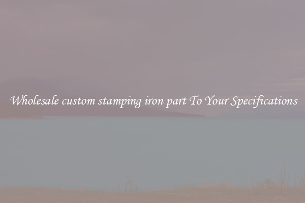 Wholesale custom stamping iron part To Your Specifications