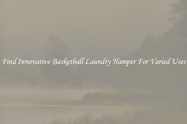 Find Innovative Basketball Laundry Hamper For Varied Uses