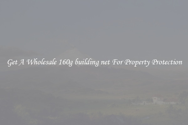 Get A Wholesale 160g building net For Property Protection