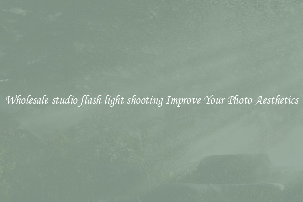 Wholesale studio flash light shooting Improve Your Photo Aesthetics