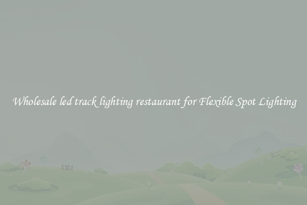 Wholesale led track lighting restaurant for Flexible Spot Lighting