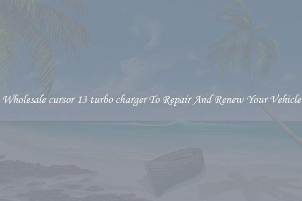Wholesale cursor 13 turbo charger To Repair And Renew Your Vehicle