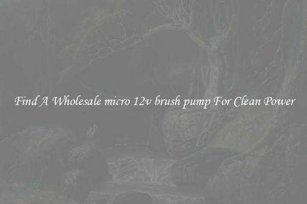 Find A Wholesale micro 12v brush pump For Clean Power