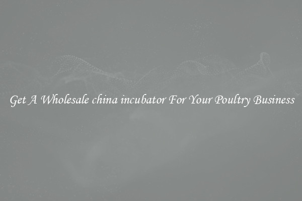 Get A Wholesale china incubator For Your Poultry Business
