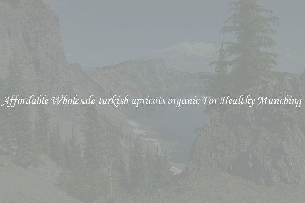 Affordable Wholesale turkish apricots organic For Healthy Munching 
