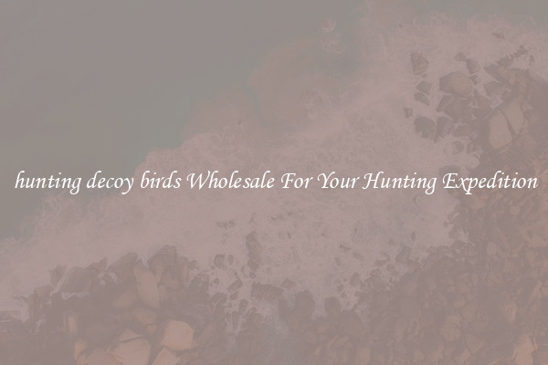 hunting decoy birds Wholesale For Your Hunting Expedition