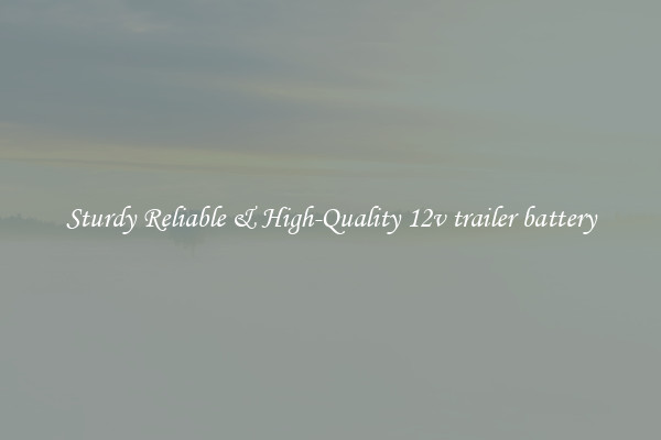 Sturdy Reliable & High-Quality 12v trailer battery