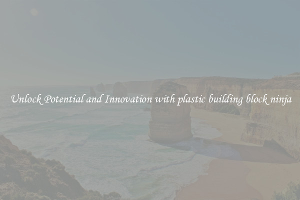 Unlock Potential and Innovation with plastic building block ninja