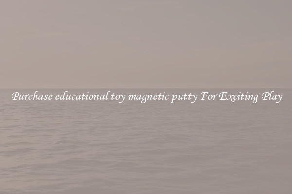 Purchase educational toy magnetic putty For Exciting Play